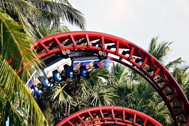 Roller Coaster Amusement Ride